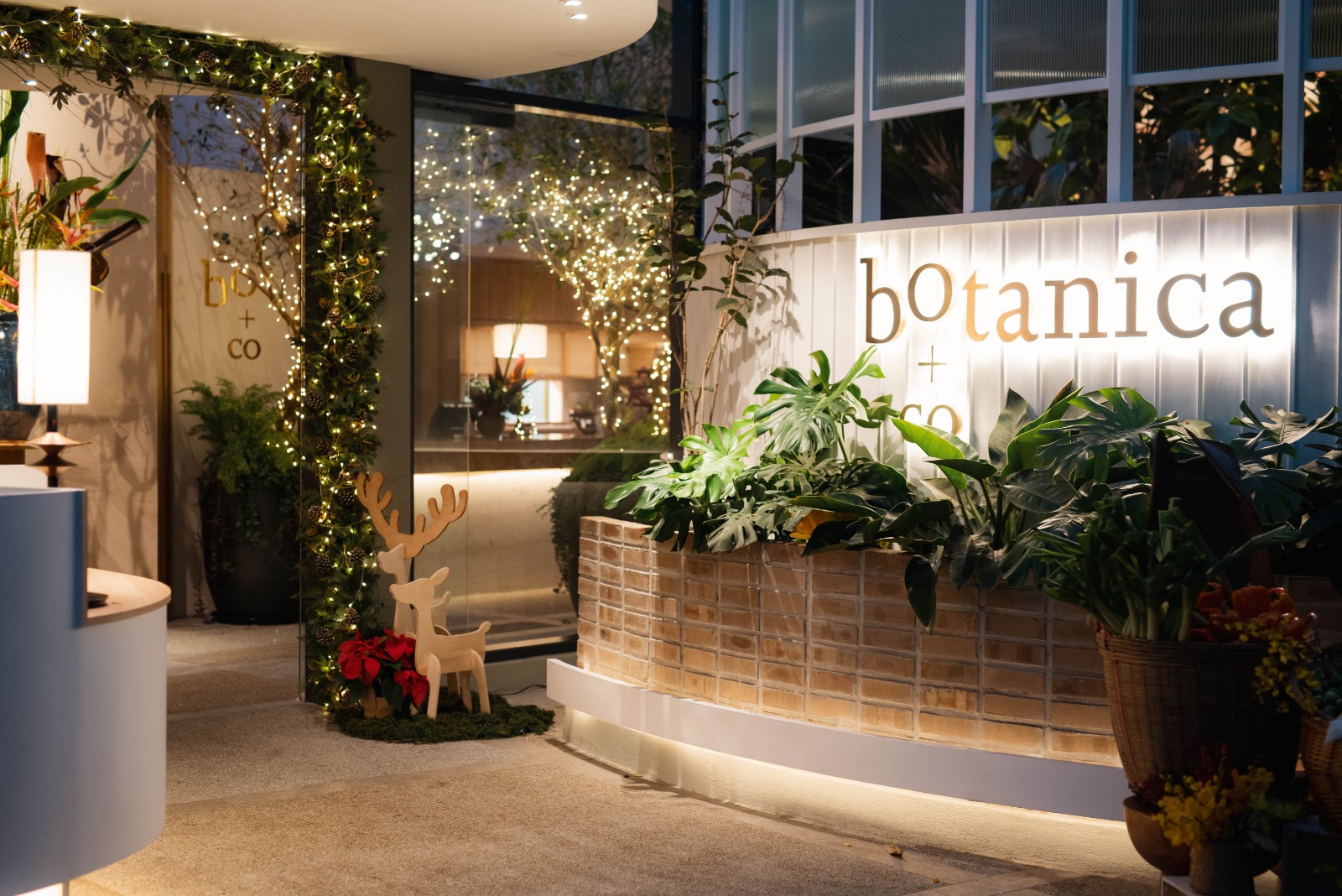 WhatsApp Image 2026-02-23 at 12.50.20 AM (2)